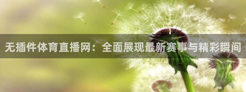 柠檬直播网：无插件体育直播网：全面展现最新赛事与精彩瞬间