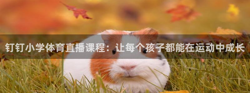 jrs柠檬直播：钉钉小学体育直播课程：让每个孩子都能在运动中成长