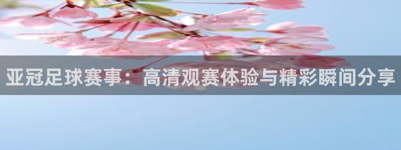 柠檬直播在线直播nba：亚冠足球赛事：高清观赛体验与精彩瞬间分享
