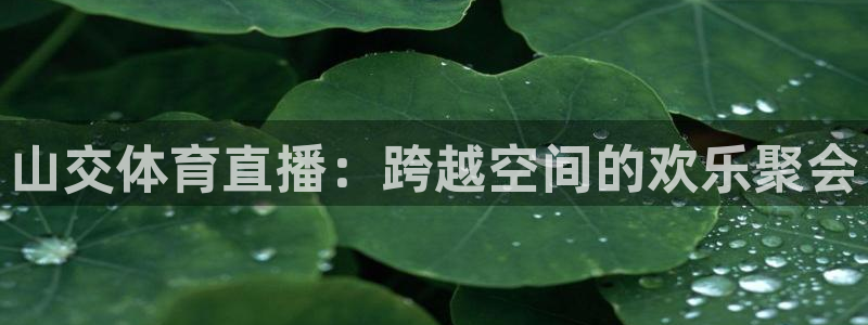 nba柠檬体育免费直播：山交体育直播：跨越空间的欢乐聚会